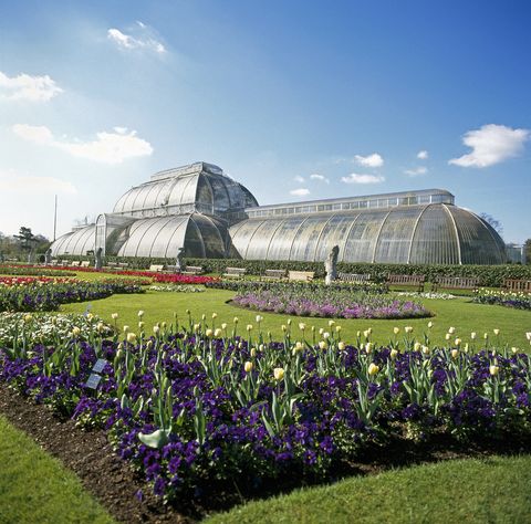 victorian palm house conservatory with flowers in kew gardens, richmond, london tw9, england