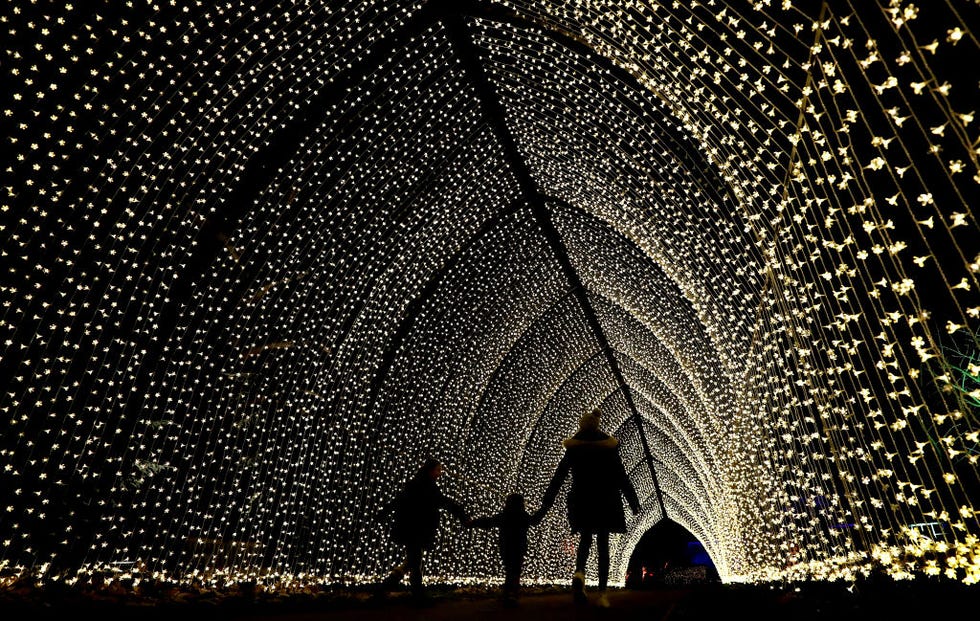 three people walking through an archway of lights at kew gardens