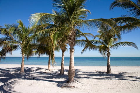 10 Best Beaches in Florida - Gorgeous Florida Beaches