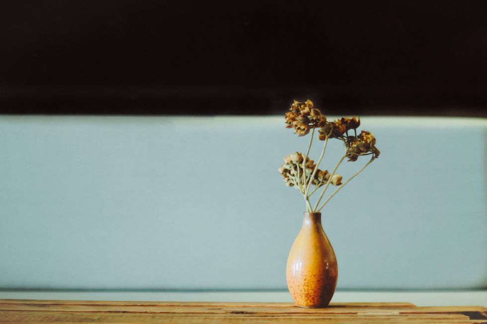Still life photography, Yellow, Still life, Room, Table, Vase, Plant, Flowerpot, Ikebana, Flower, 