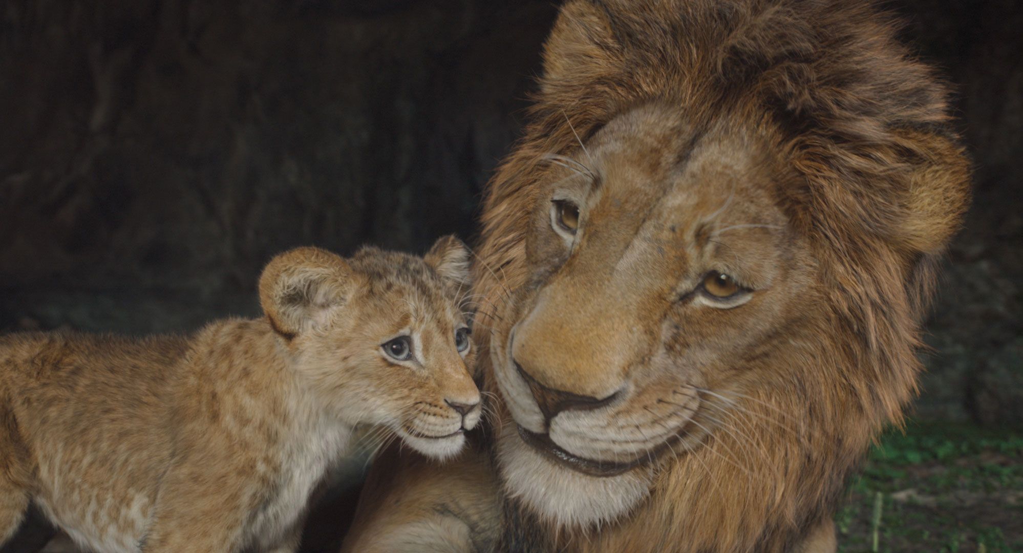 New Lion King movie debuts with mixed Rotten Tomatoes rating