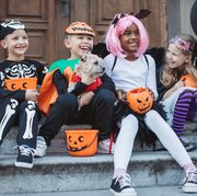 multi ethnic group of children go for trick or treat, they wear costumes, and sitting on steps on doorway costumed pet dog is with them
