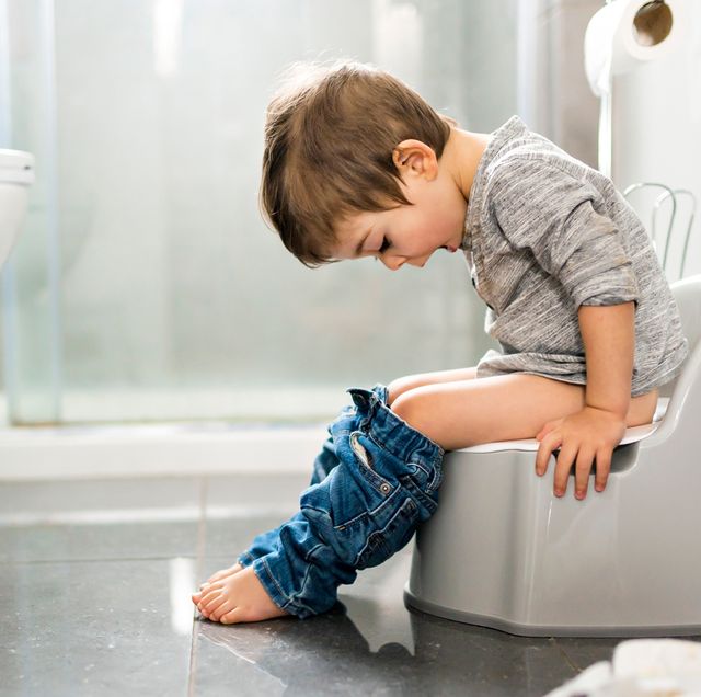 Guide To Potty Training: Plus Where To Buy Potty Trainer Seats