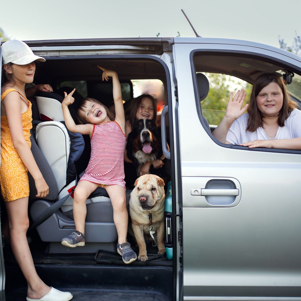 kids siblings and two dogs in big car on road trip in summer