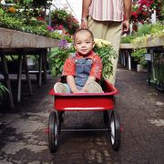 kid riding in red wagon in garden store