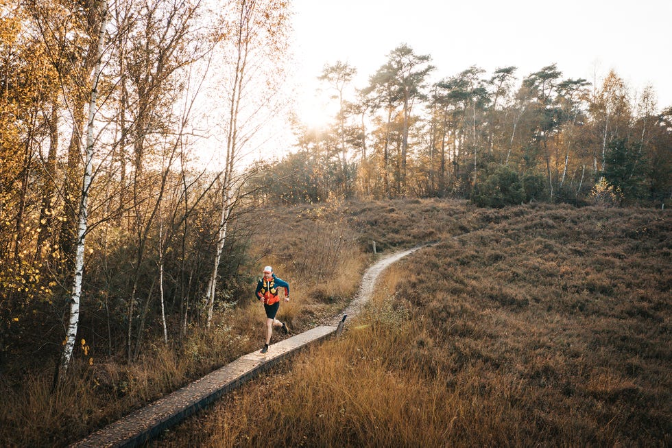 httpsoutdoorachterhoeknltrail routes