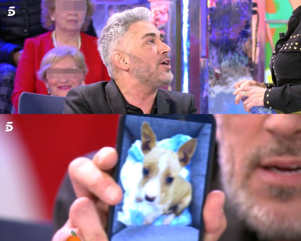 el colaborador presenta al nuevo miembro de su familia un perro