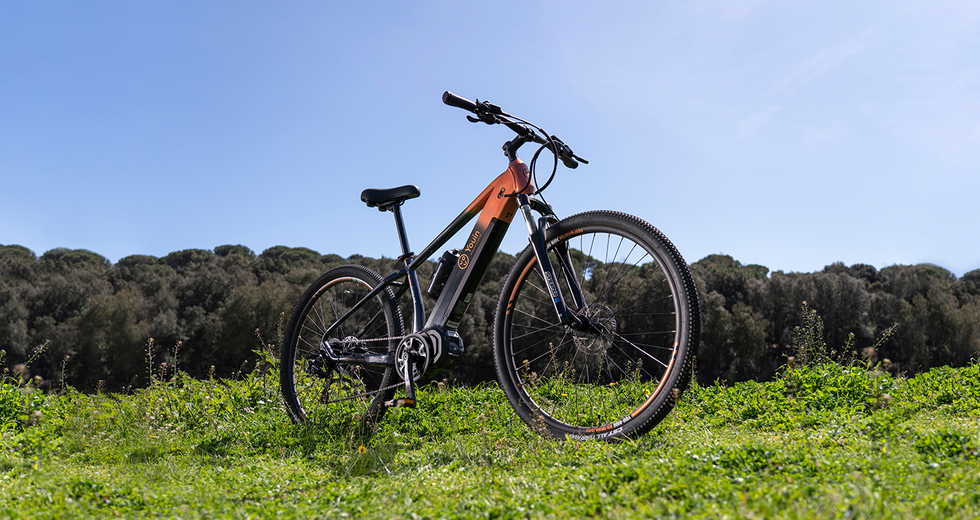 Bicicleta eléctrica de montaña con pantalla Youin Kilimanjaro - Youin