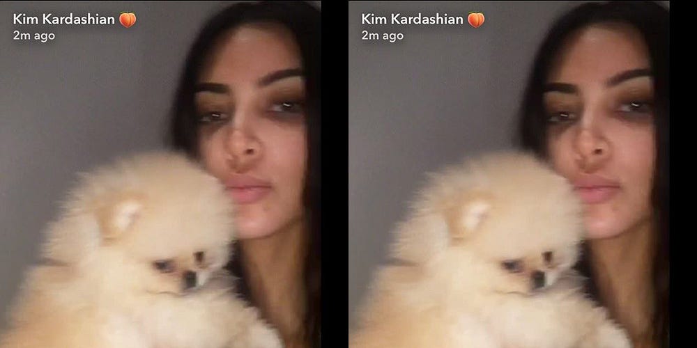 year of the dog celebrity designer pets kim kardashian louis