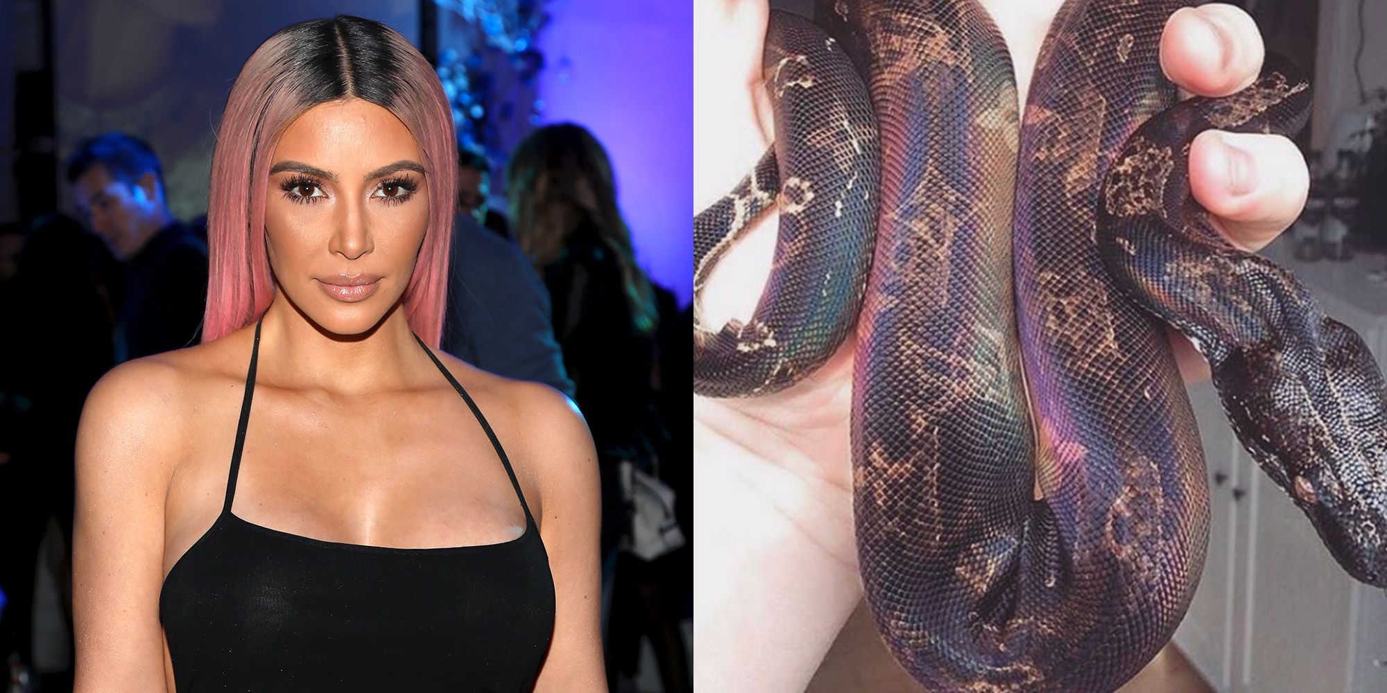 Kim Kardashian: il serpente logato suscita polemiche