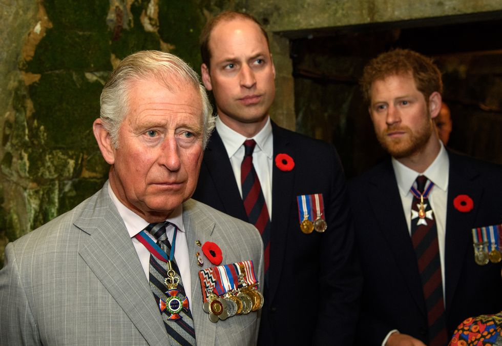 king charles, prince william and prince harry for armistice day event