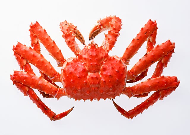 Why a Billion Crabs Have Suddenly Vanished From the Bering Sea