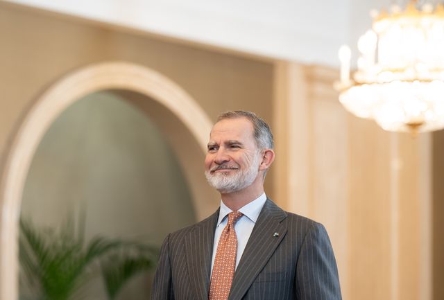 rey felipe vi sonriente