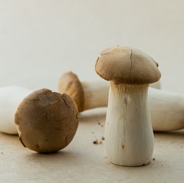 king trumpet mushrooms
