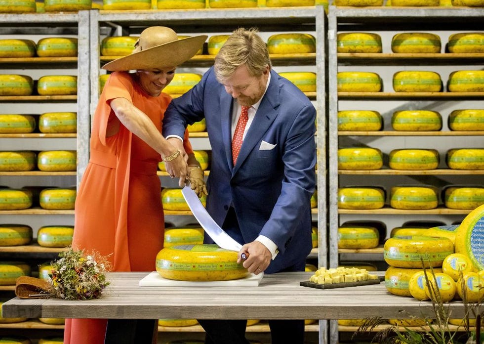 máxima y guillermo de holanda