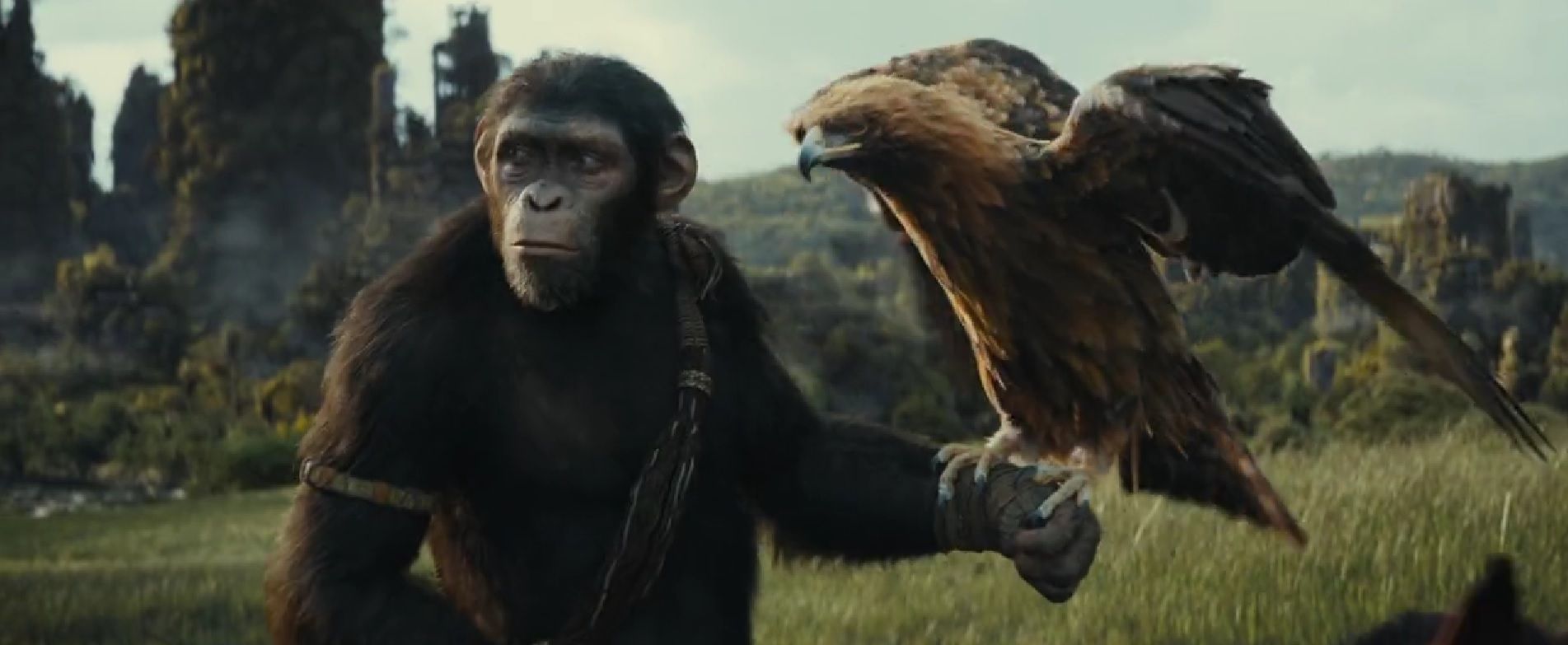 Королевство планеты обезьян получило высокий рейтинг на Rotten Tomatoes