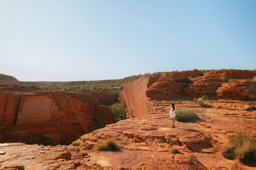 feel on top of the world as you walk along the towering red rock cliffs of kings canyon and take in views of the forest of palms belowbr br watarrka national park is only three hours drive from uluru, and is home to the mighty kings canyon a majestic destination featuring 300m high sandstone walls, palm filled crevices, and views that stretch across the desert