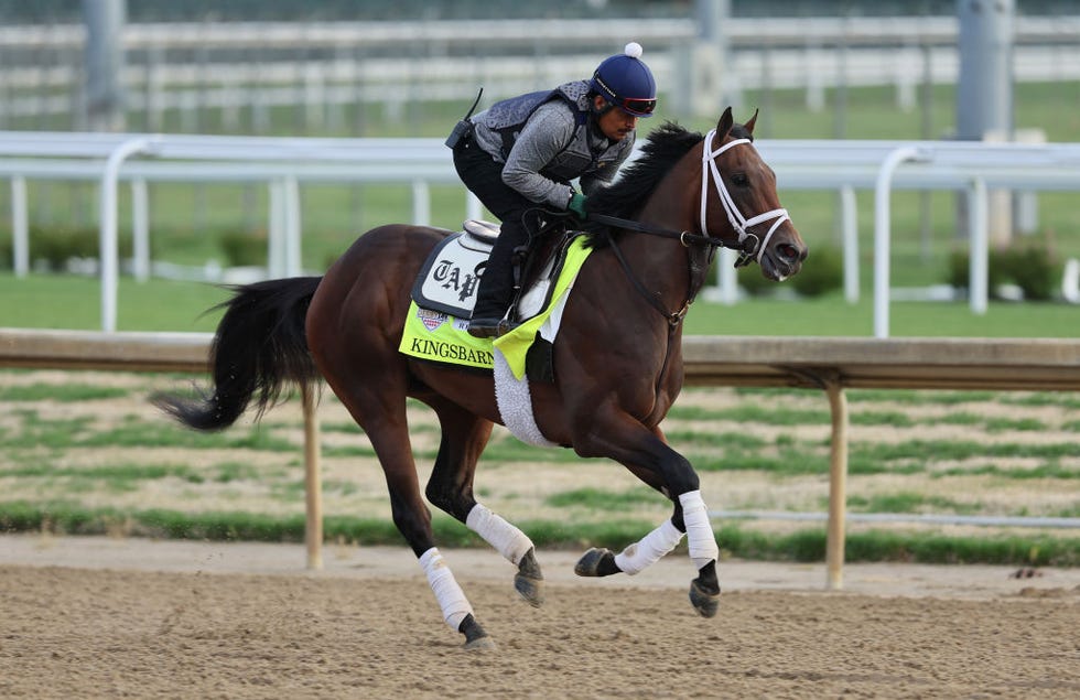 Top Kentucky Derby Horses 2023 Favored Kentucky Derby Horses