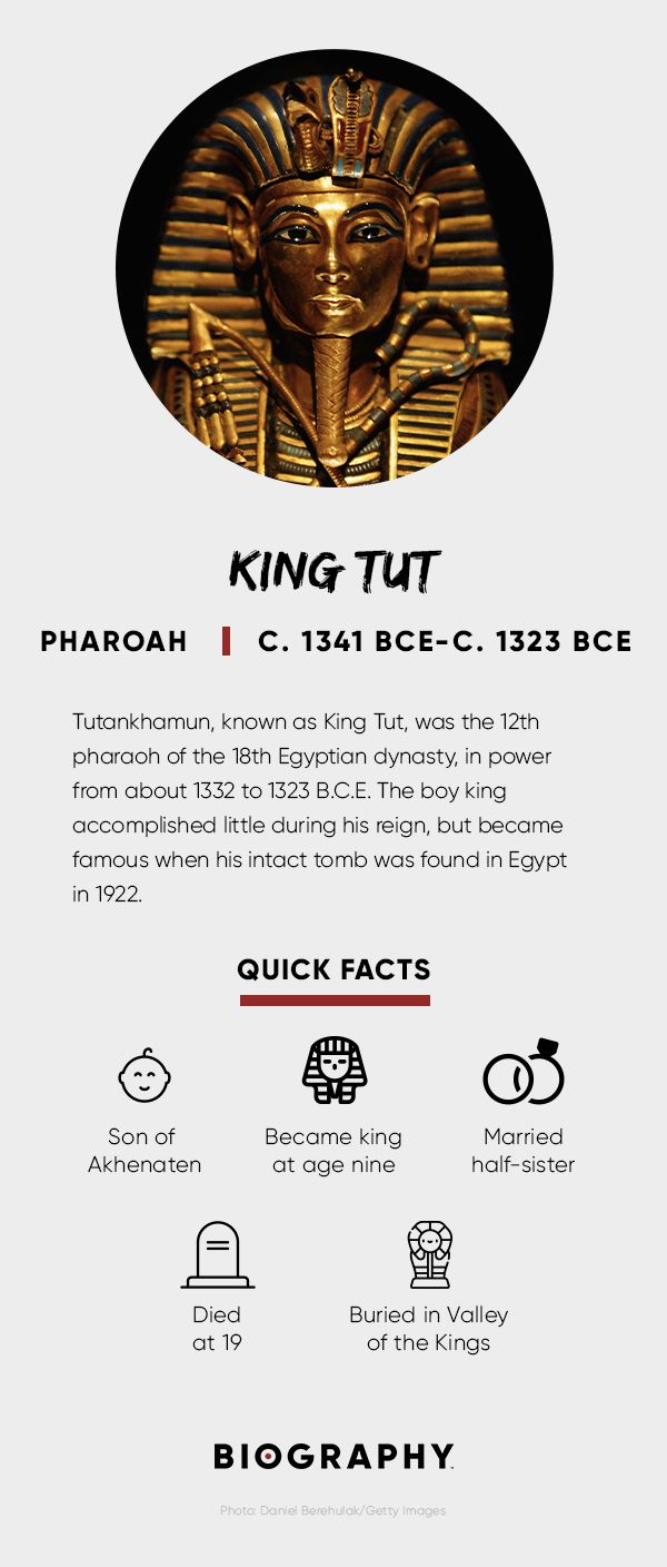 King Tut Fact Card