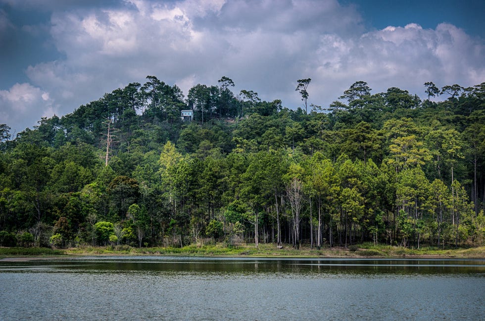Landscape with kirirom national park