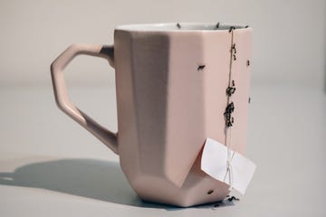 a plague of ants in the kitchen falling on a cup