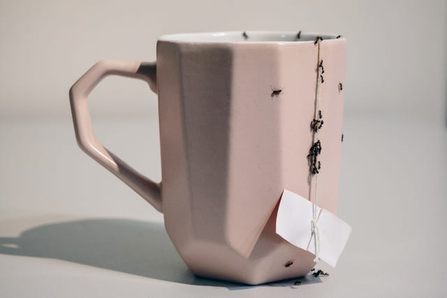 a plague of ants in the kitchen falling on a cup