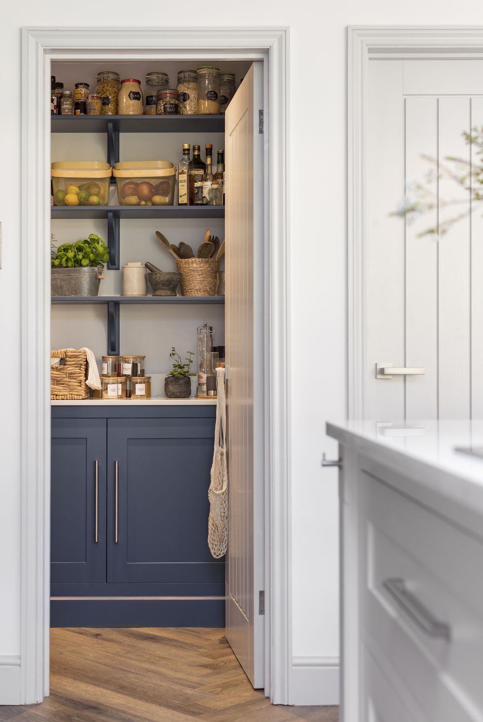 blue kitchen pantry