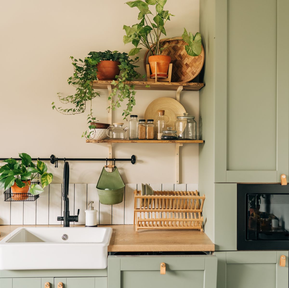 Transform Your Kitchen with Indoor Plants Decor