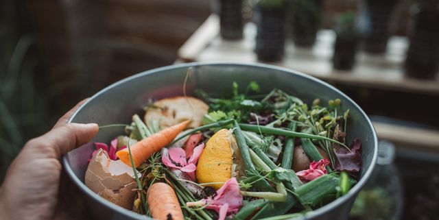 The Best Compost Bins for Reducing Food Waste in 2023