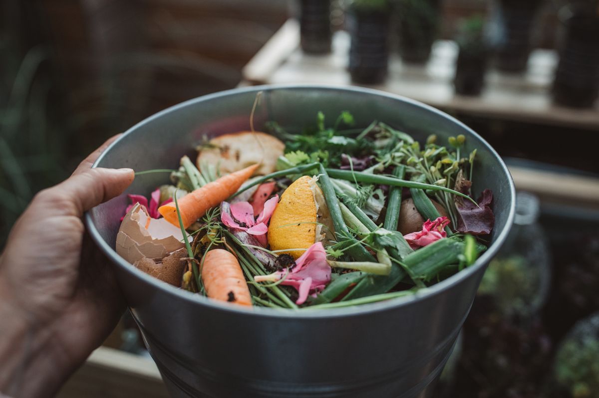 vegetables scraps in a bucket