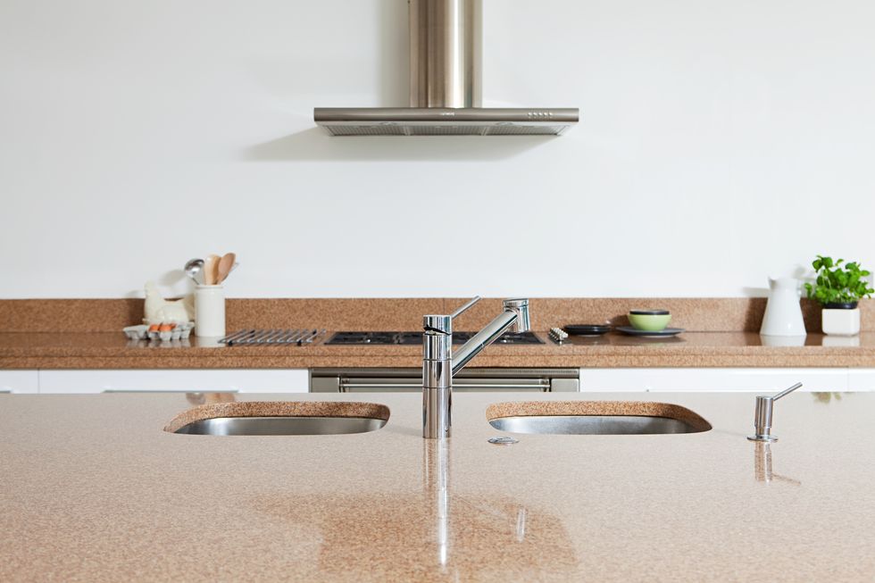 kitchen sink and counter