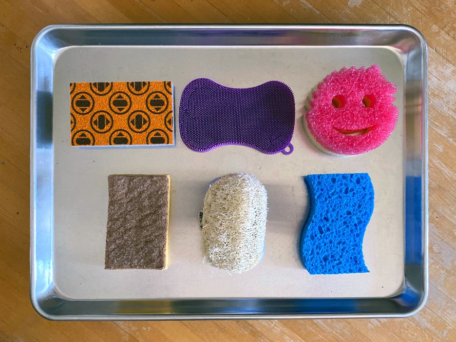 Are Your Kitchen Surfaces and Sponges Really Clean?