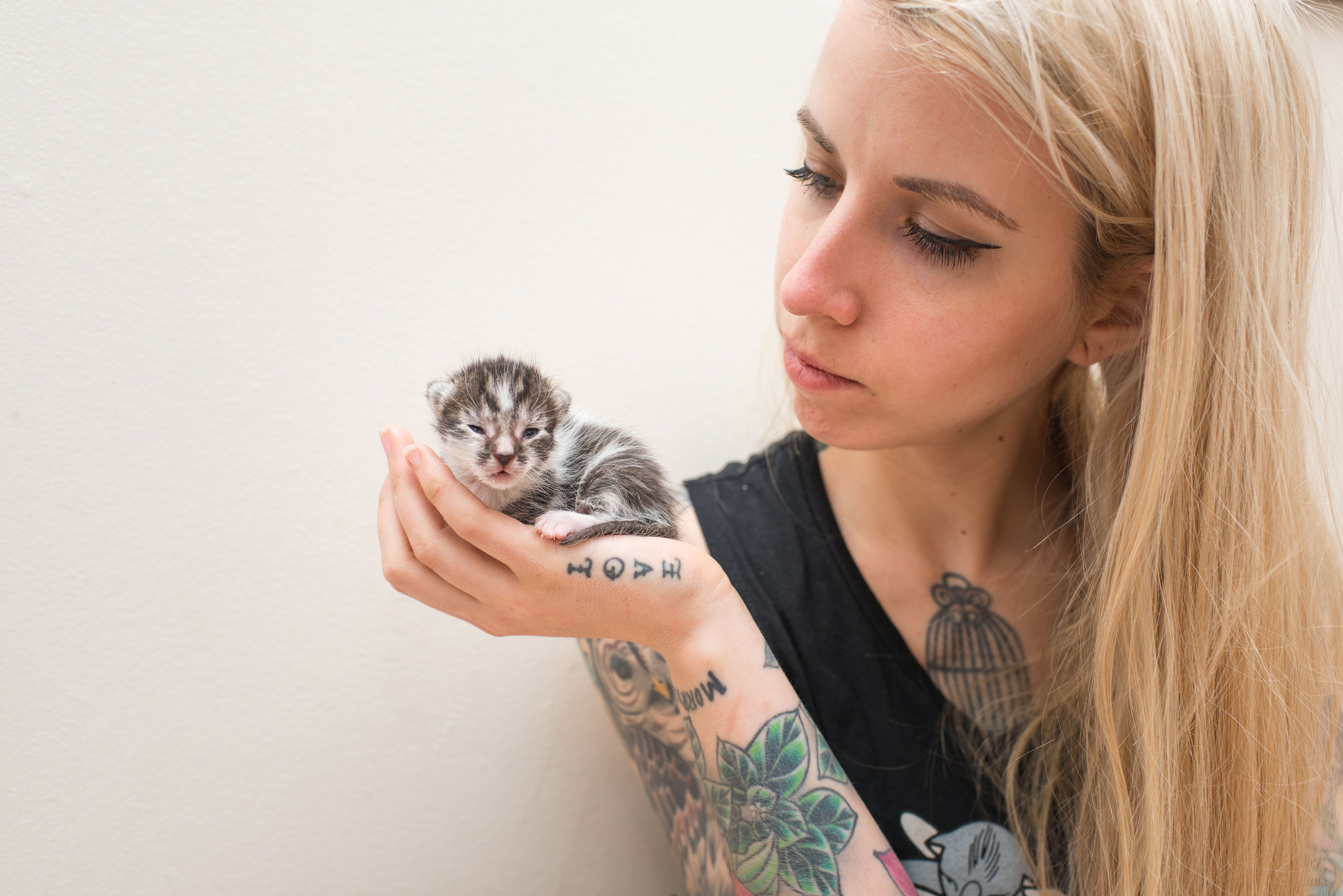 Kitten Lady Hannah Shaw On 'Tiny But Mighty,' Her Guide To At-Risk Cat Care  : NPR