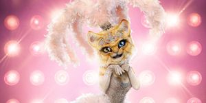 kitty masked singer