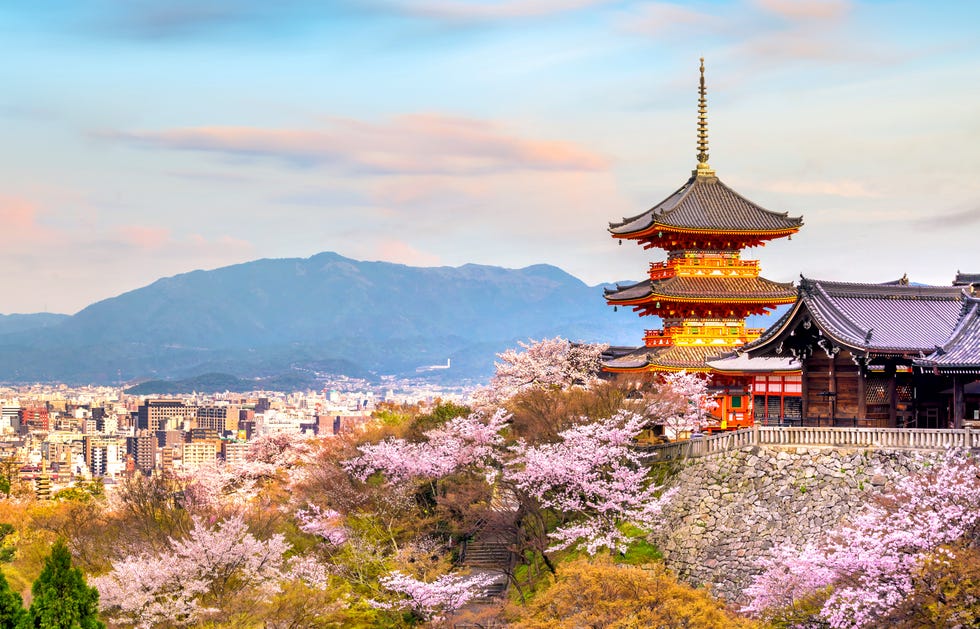 Landmark, Sky, Flower, Architecture, Spring, Pagoda, Tourism, Temple, Tower, Tree, 