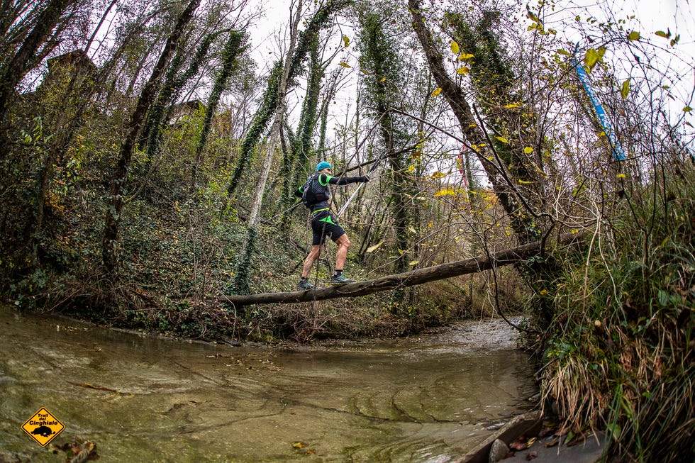 trail del cinghiale