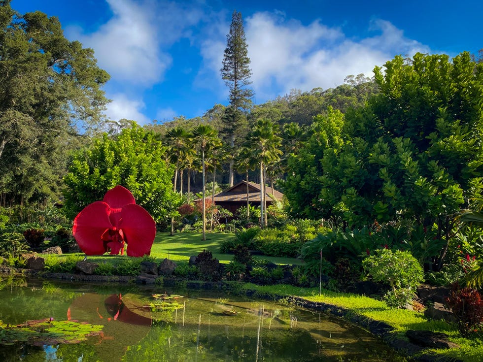 a tent in a garden