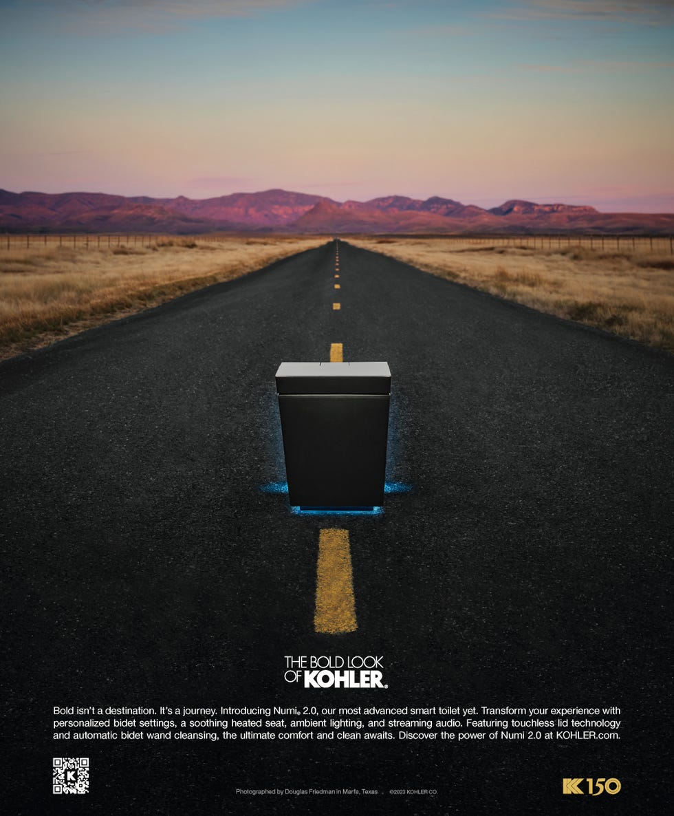 Your Next Home Design Upgrade? Toilets as Art Your Next Home Design Upgrade? Toilets as Art
