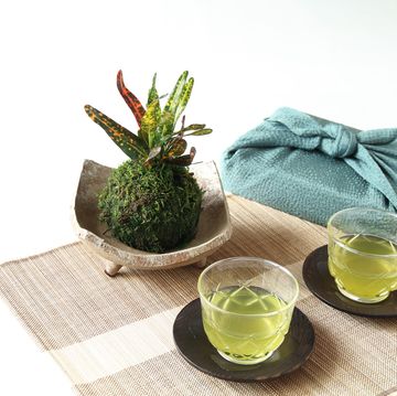 kokedama (croton) and ice green tea and furoshiki