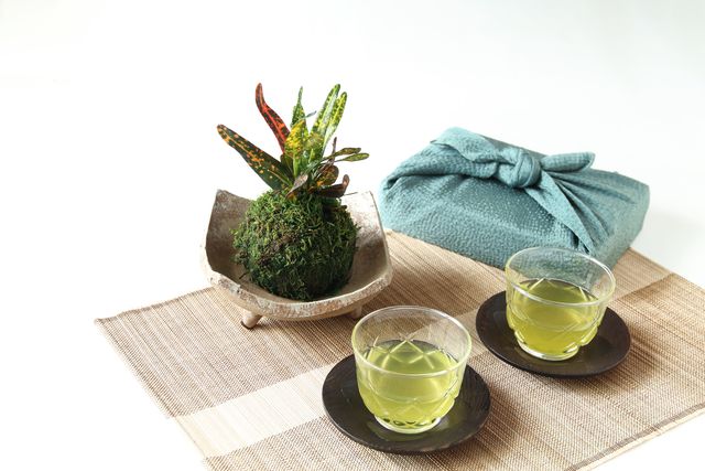 kokedama (croton) and ice green tea and furoshiki