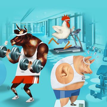 illustratie van koe, varken en haan in de sportschool