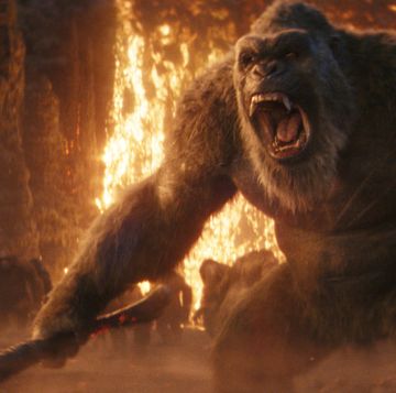 kong roaring with fire in the background, godzilla x kong the new empire