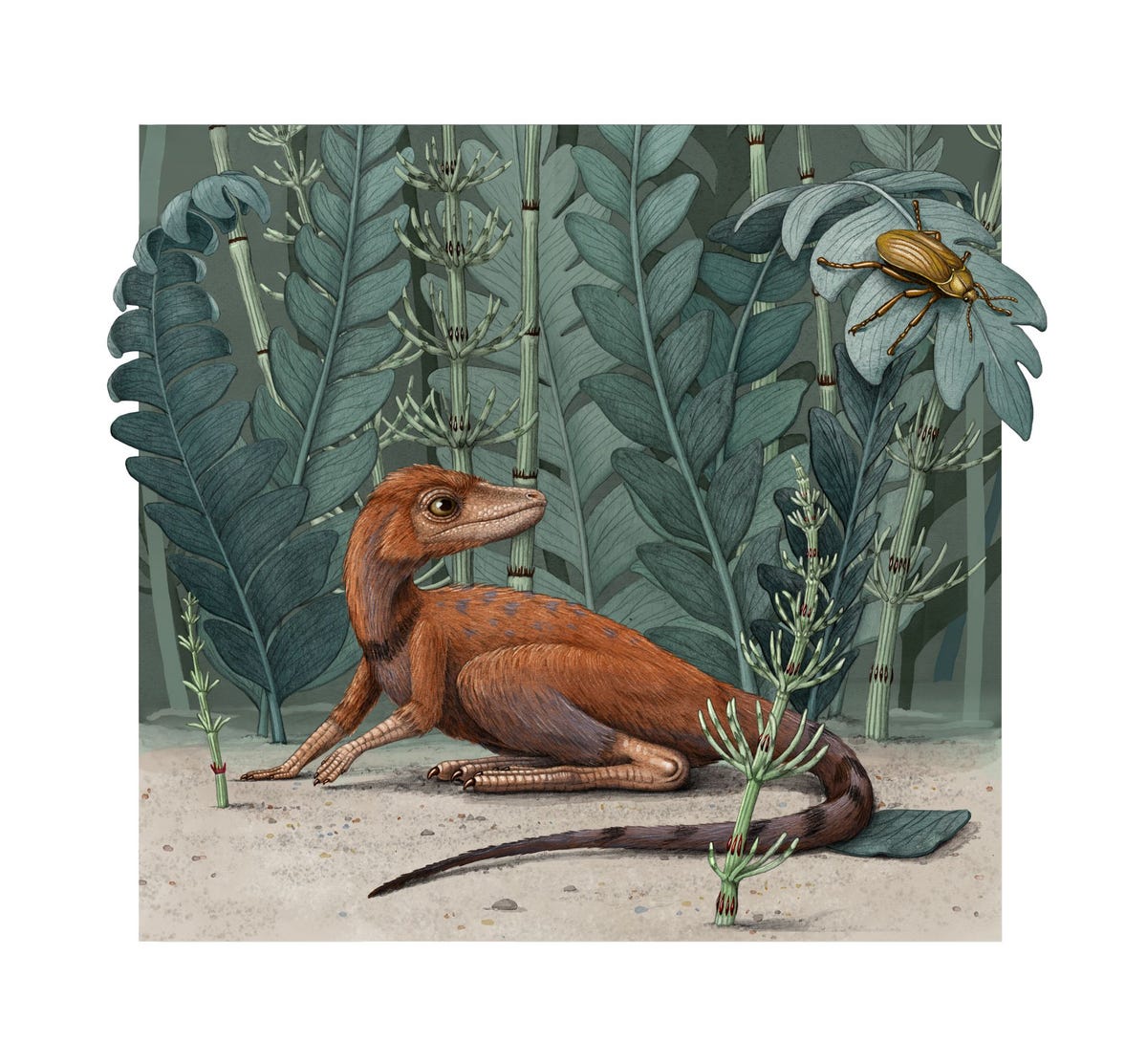 Kongonaphon een reptiel uit het Trias was ongeveer zo groot als een rat en leefde in een gebied dat nu Madagaskar is Het diertje was zeer wendbaar en snel en het had mogelijk een donzig verenkleed  kenmerken die het waarschijnlijk aan zijn veel grotere nakomelingen de dinosaurirs heeft doorgegeven zodat zij in het latere Jura beter konden overleven