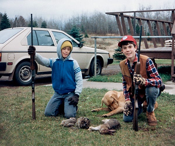 Vehicle, Car, Dog, Canidae, Grass, Sporting Group, Vacation, Hunting dog, 