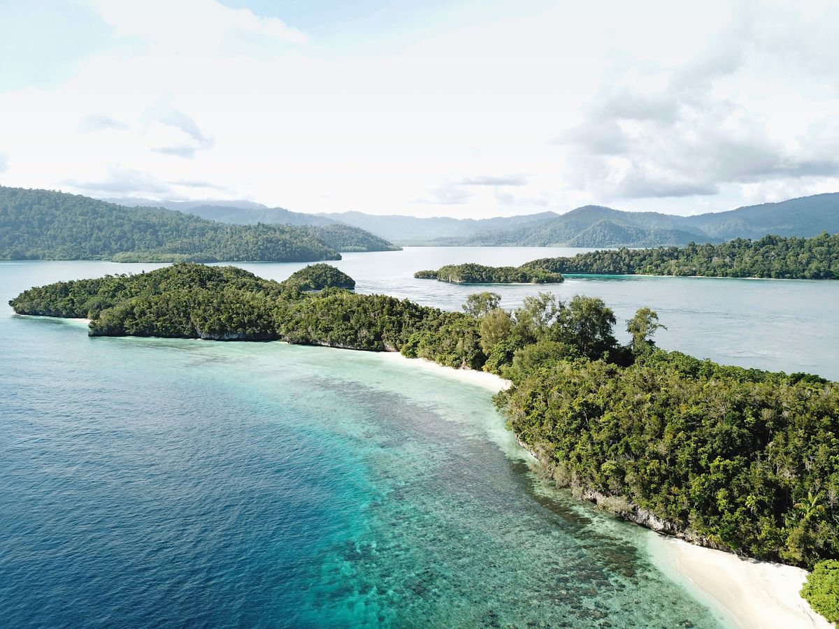 Raja Ampat bestaat uit honderden veelal onbewoonde eilanden omgeven door koraalriffen zeegrasveldenen mangrovebossen
