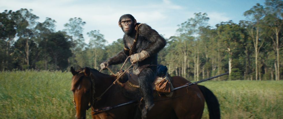 La convivencia imposible en 'El reino del planeta de los simios'