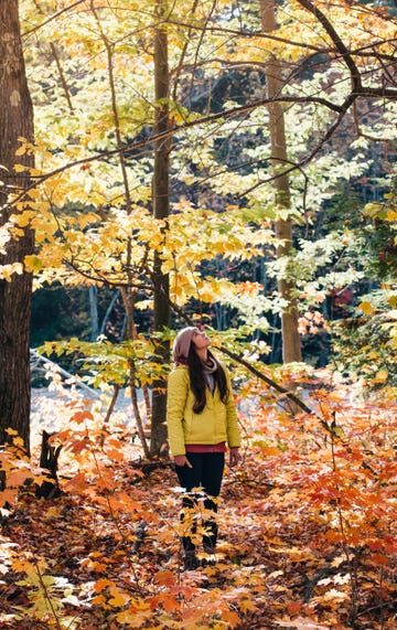 girl in the woods looking at fall foliage
