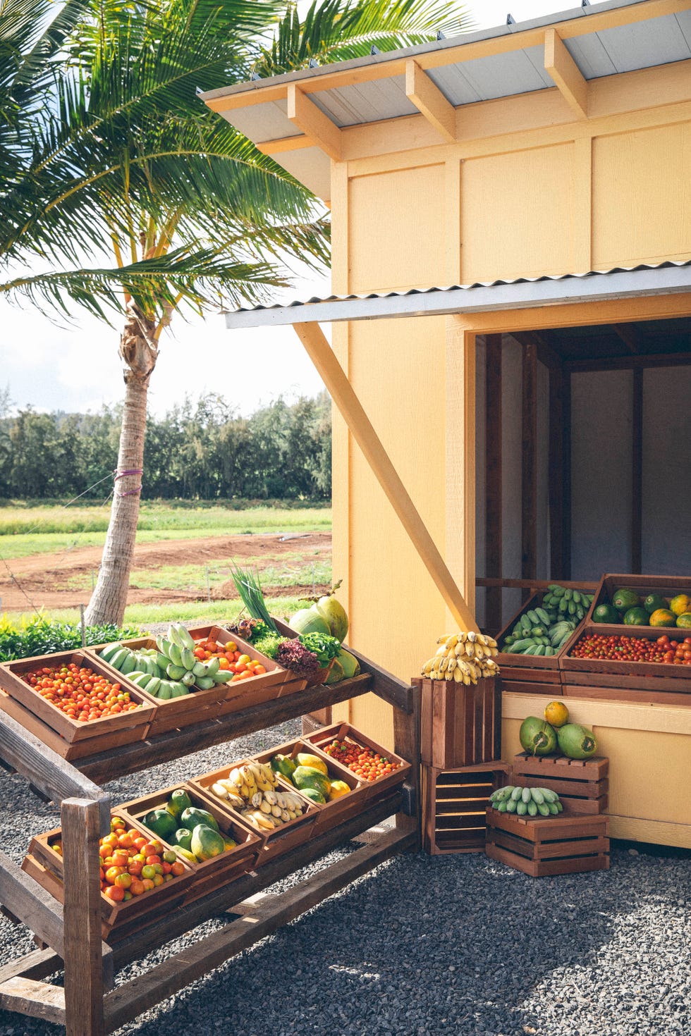 fruit in wooden crates next to a yellow building with a shop awning with palm trees in the background