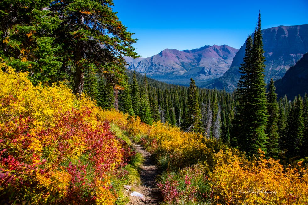 kurt kohn how running changed me
