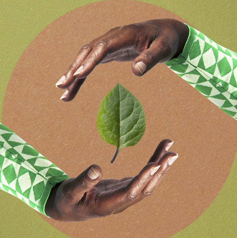 a hand holding a leaf